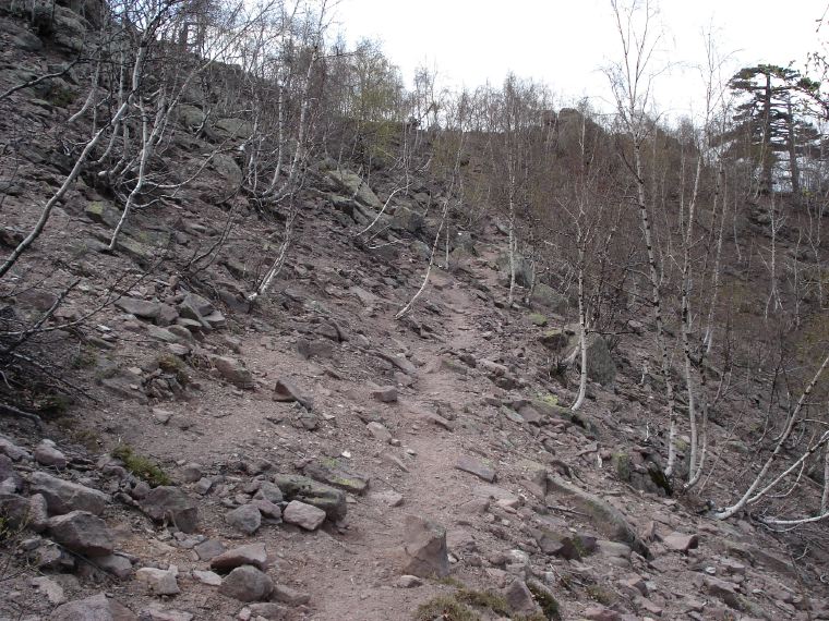 01 BirkenHInterOrtuDiPiobbu