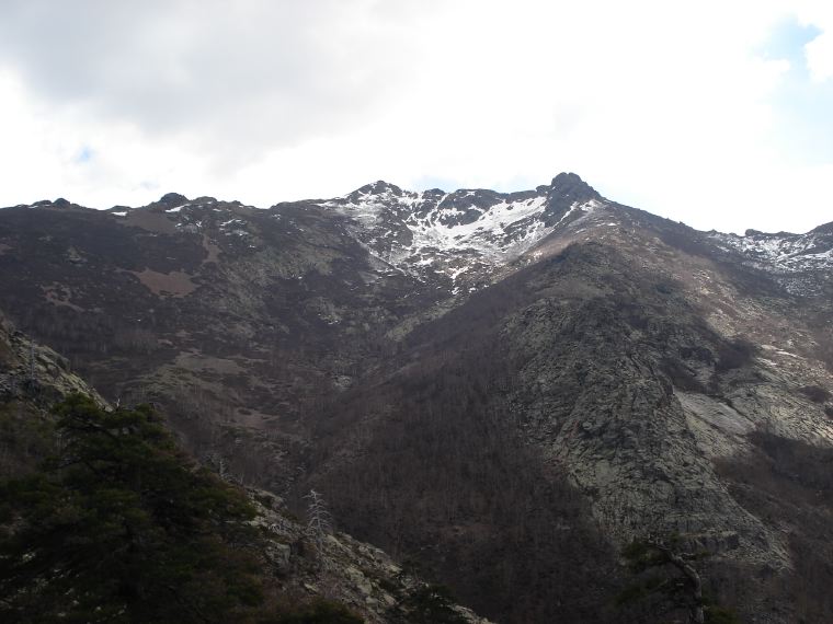 02 VersCapuLadroncellu