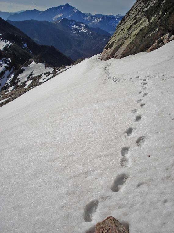 29 NachDemCreteDeCapitello