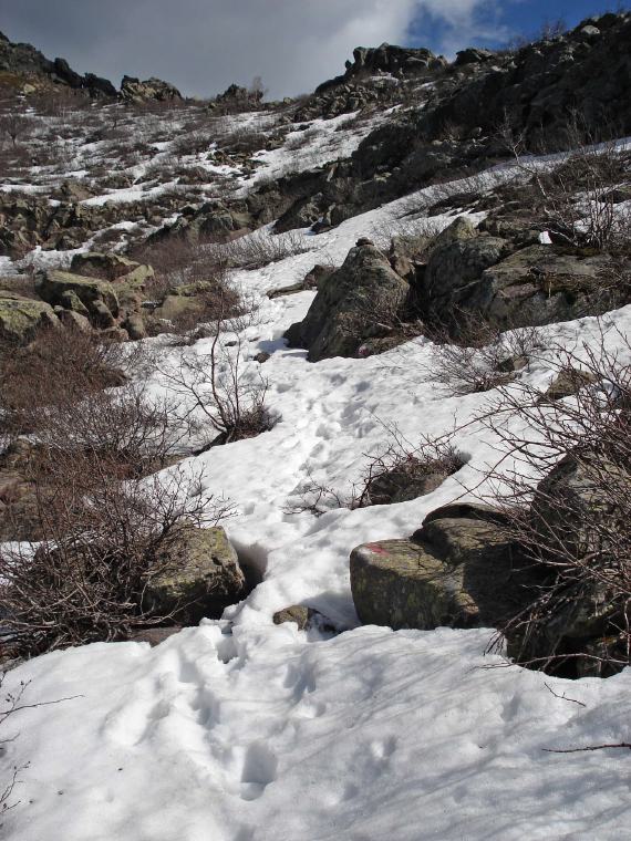 04 AufstiegZumBoccaPiccaia